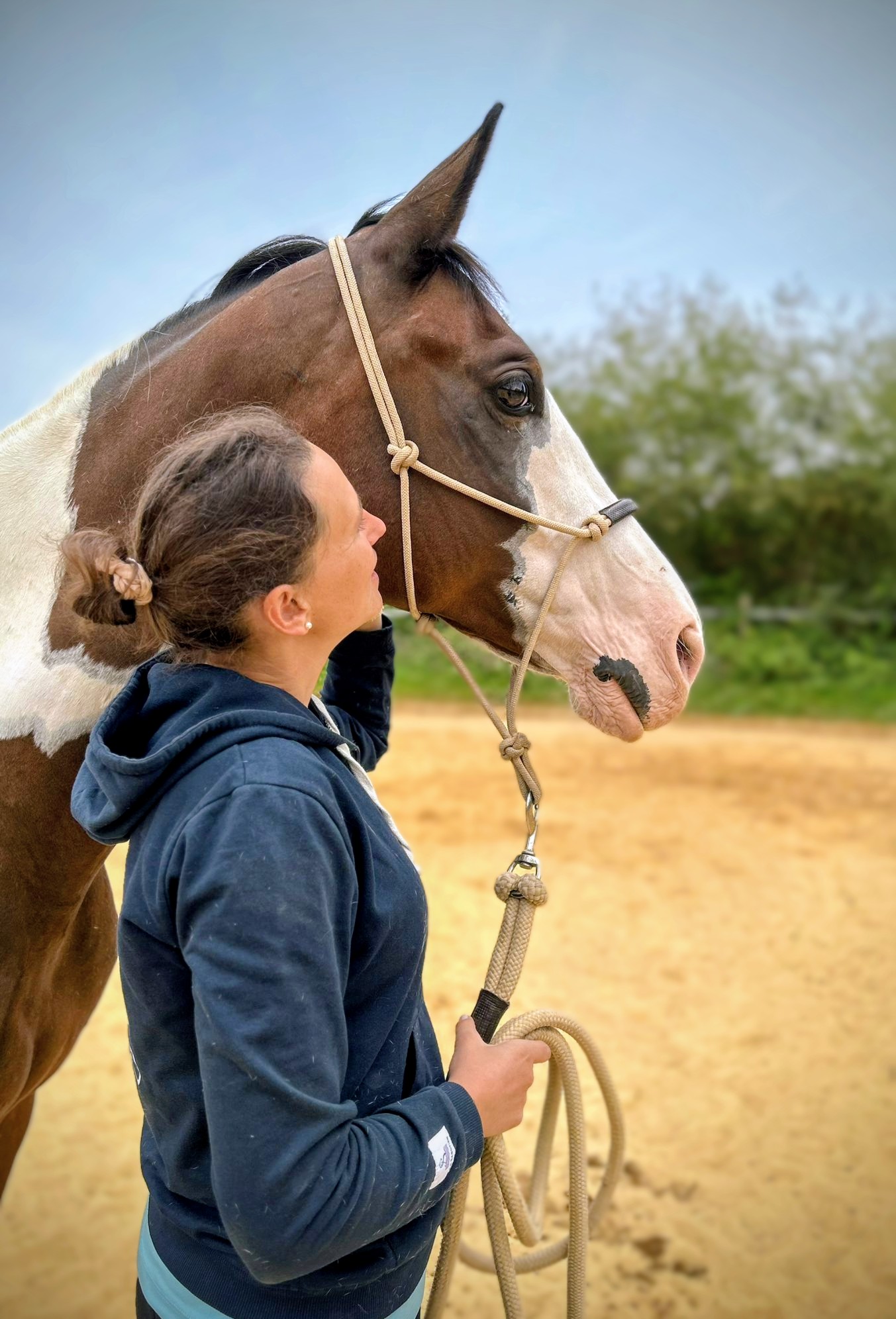 Séance éthologie et médiation équine au bearn