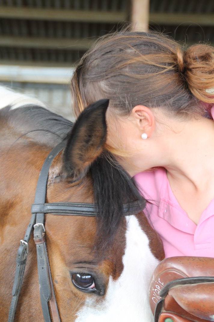 Mon enseignement équin