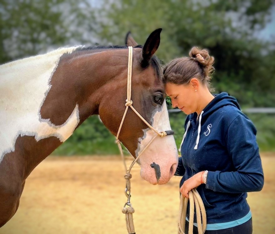 Séance respectueuse avec un cheval sur Pau